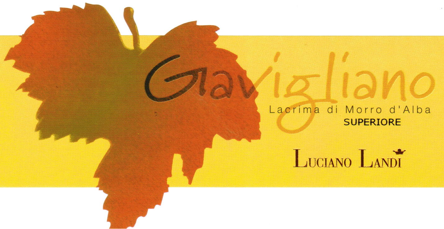 Lacrima di Morro d'Alba Gavigliano 2010