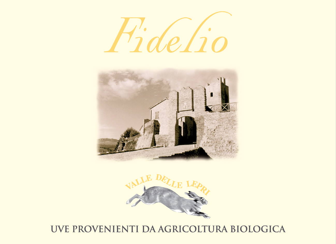 Sangiovese di Romagna Superiore Fidelio 2006