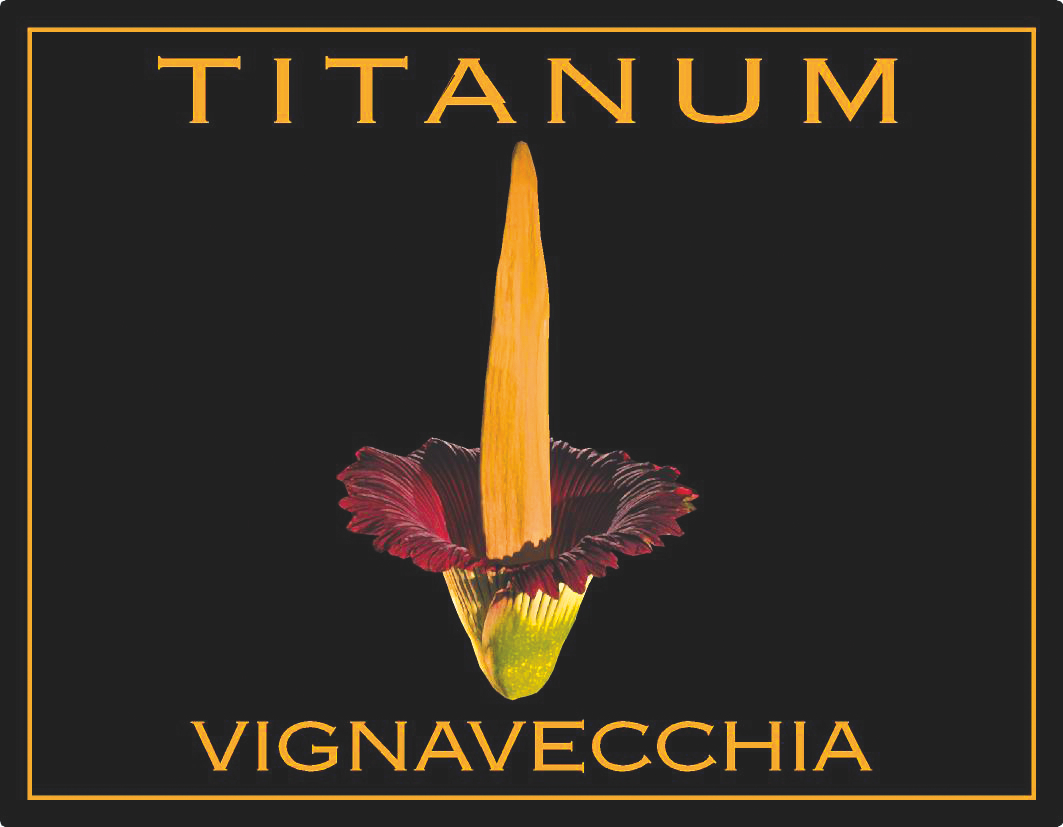 Titanum 2010