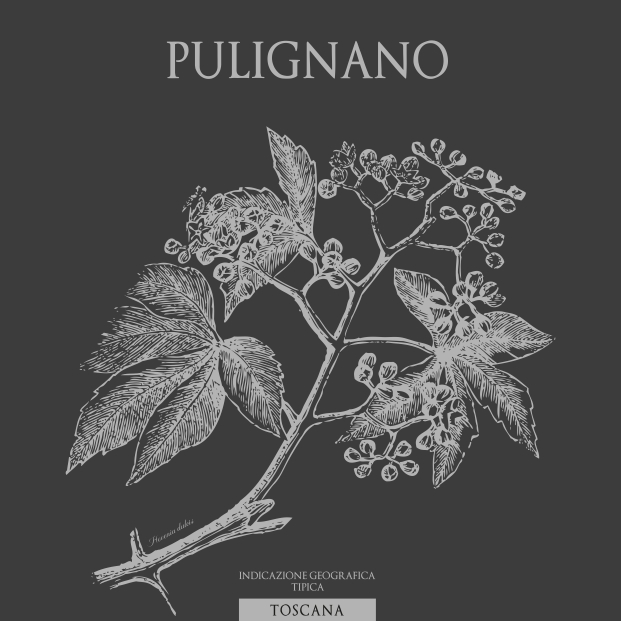 Pulignano 2018