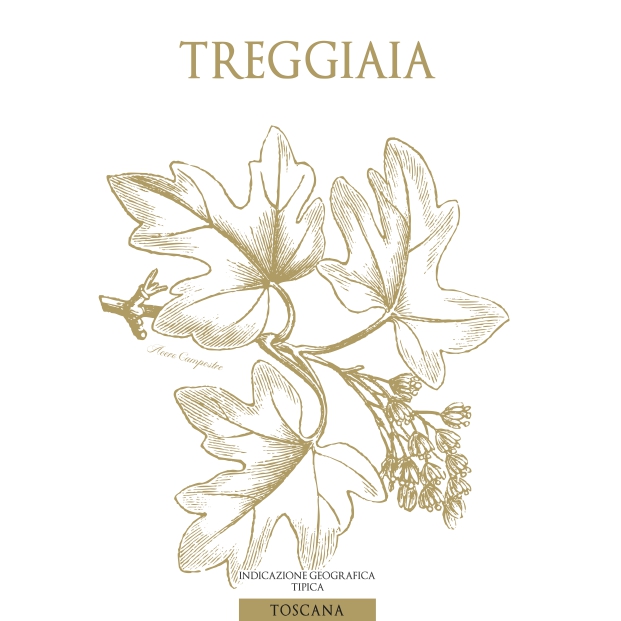 Treggiaia 2020