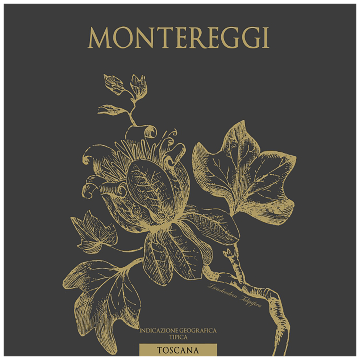 Montereggi 2019