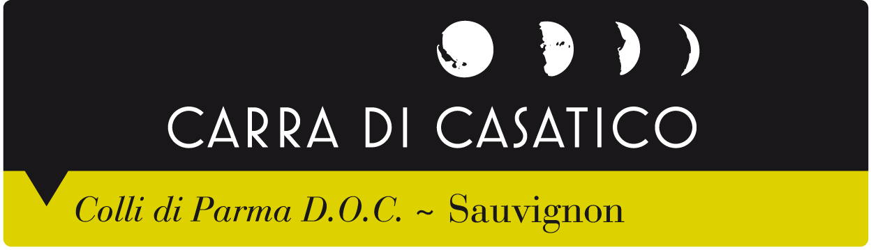 Sauvignon Frizzante Colli di Parma 2011