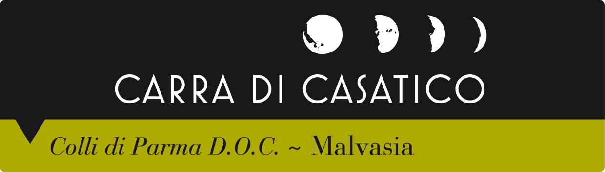 Malvasia Frizzante Colli di Parma 2007