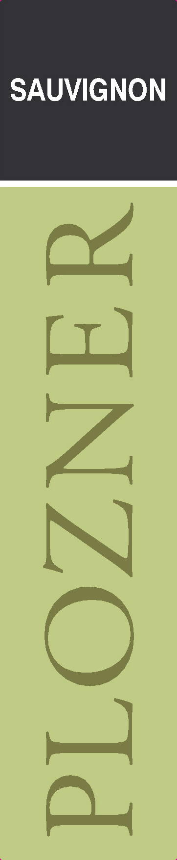 Sauvignon 2007