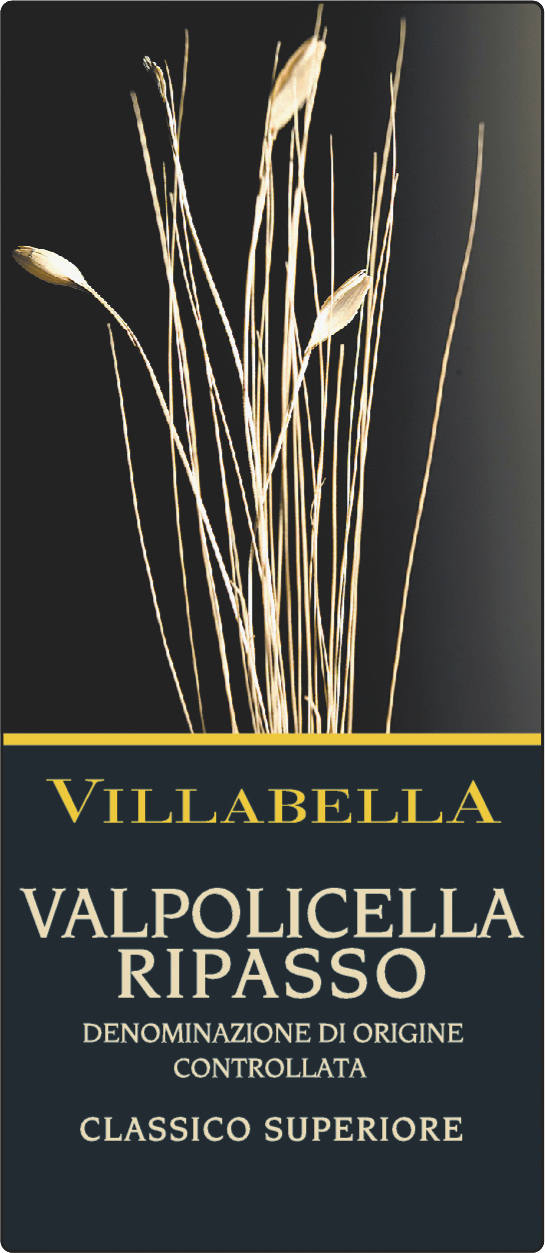 Ripasso Valpolicella Classico Superiore 2009