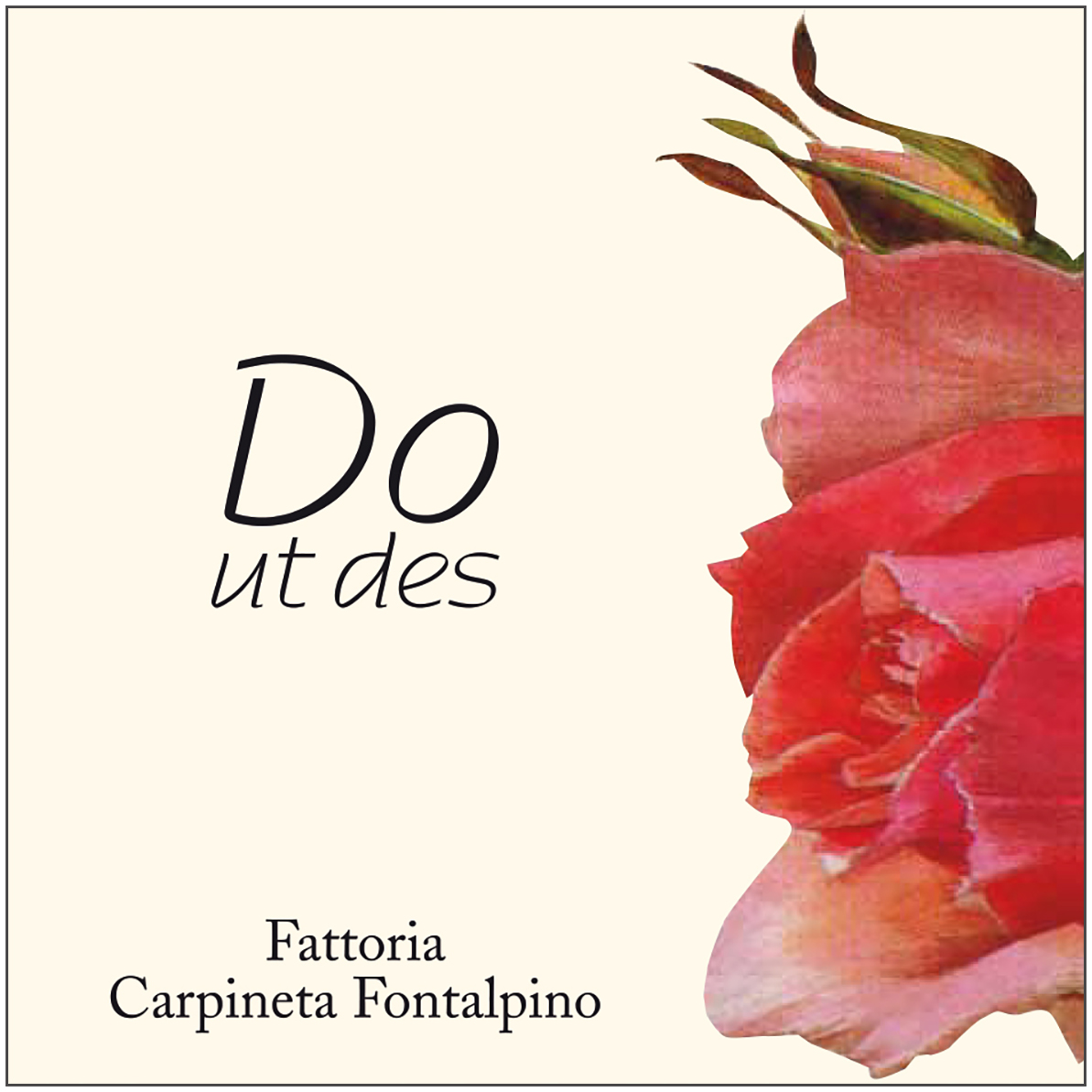 Do Ut Des 2009