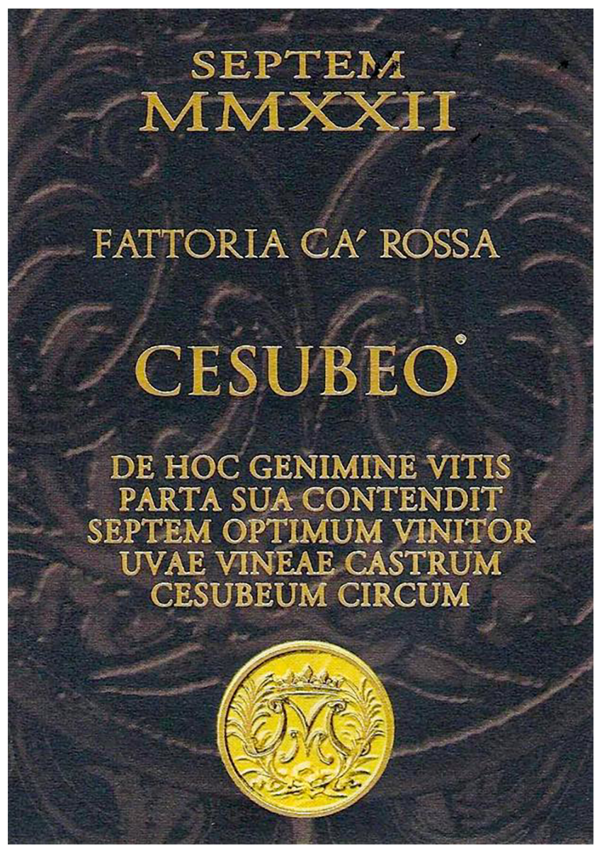 Cesubeo 2022