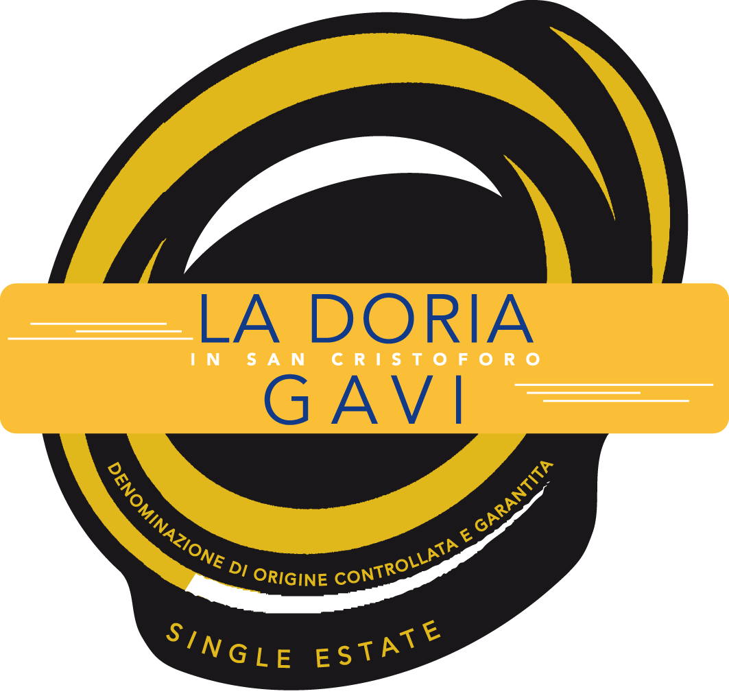 Gavi La Doria 2008