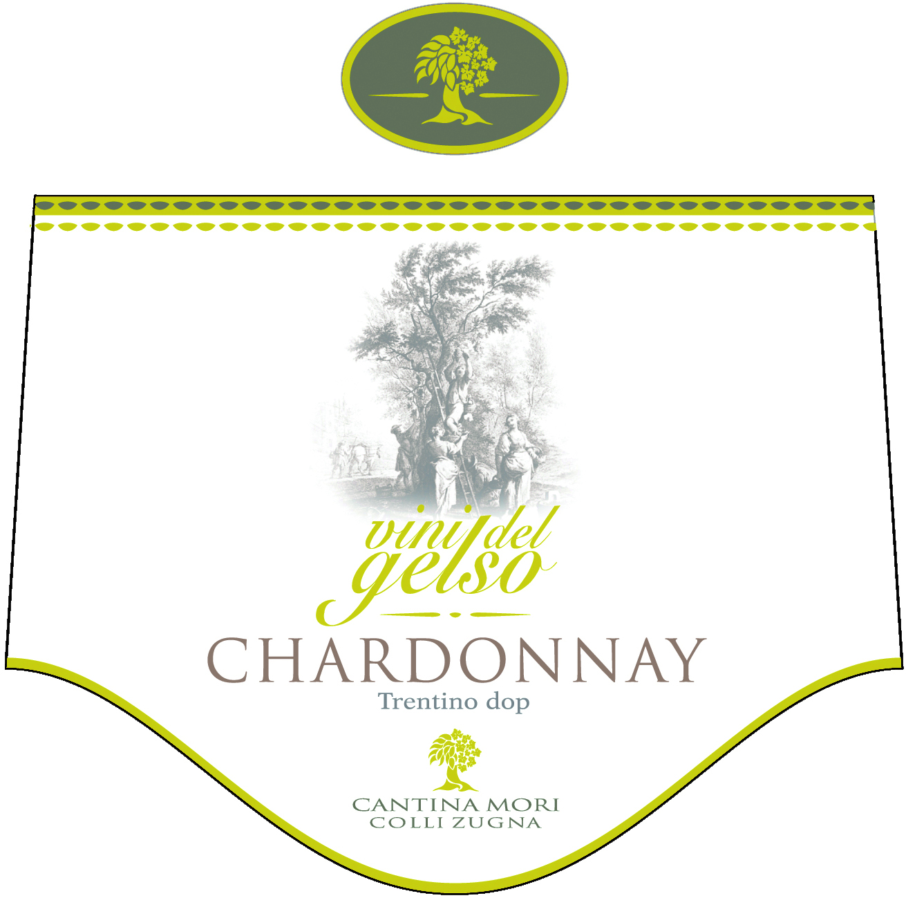 Chardonnay Vini del Gelso 2008
