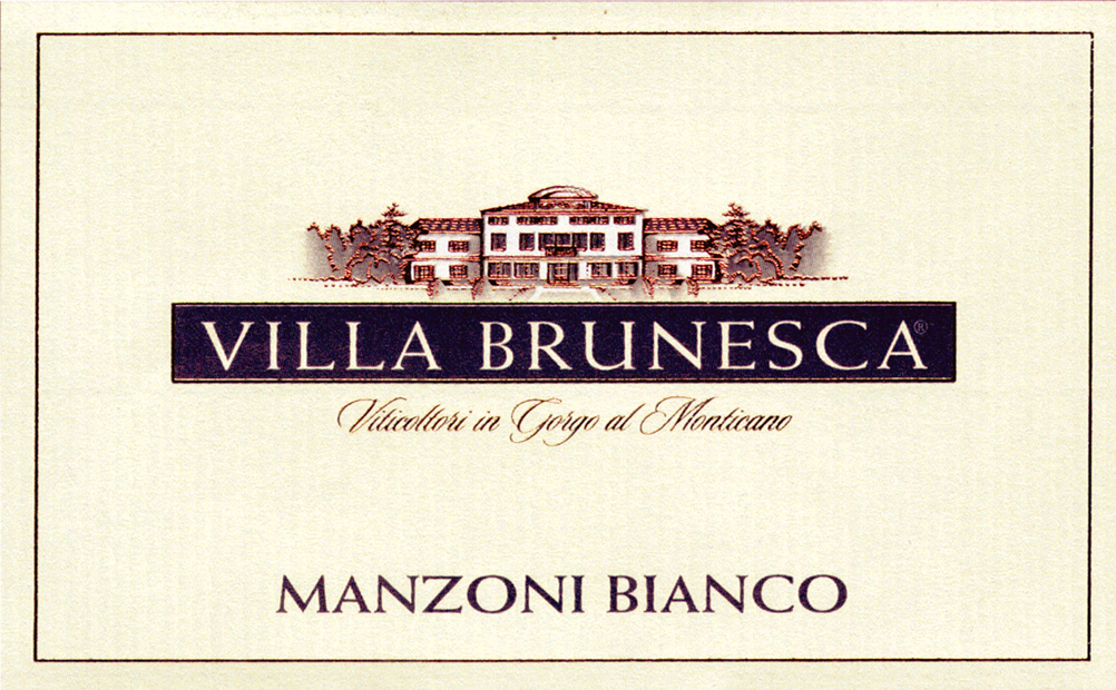 Manzoni Bianco Igt Veneto 2009