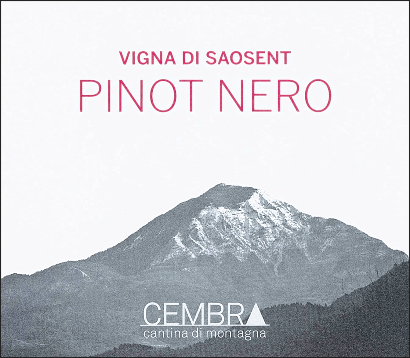 Pinot Nero Vigna di Saosent 2009