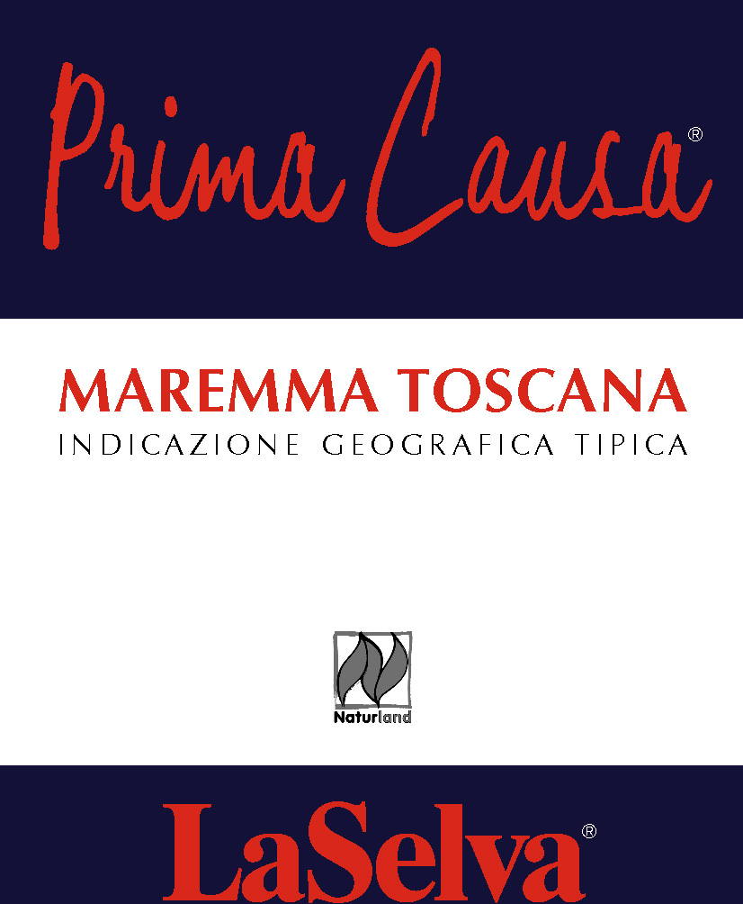 Prima Causa 2008