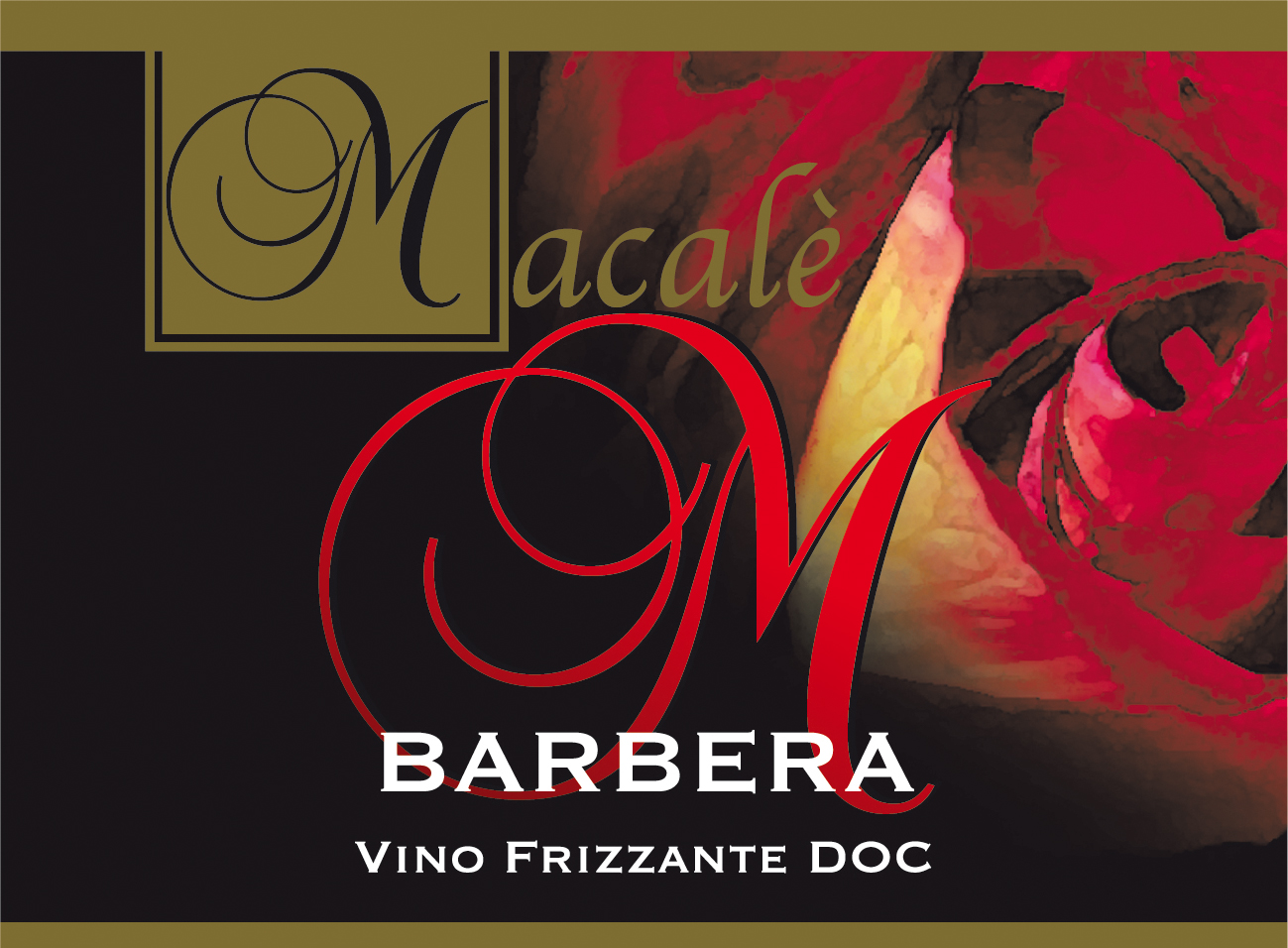 Barbera Frizzante Colli d'Imola 2010