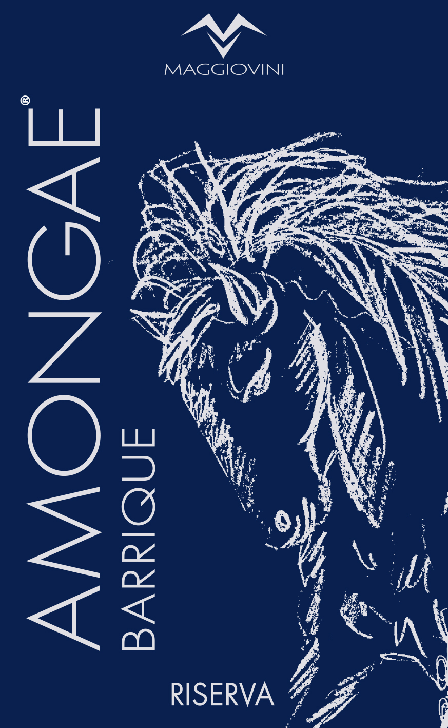 Amongae Barrique Riserva 2007