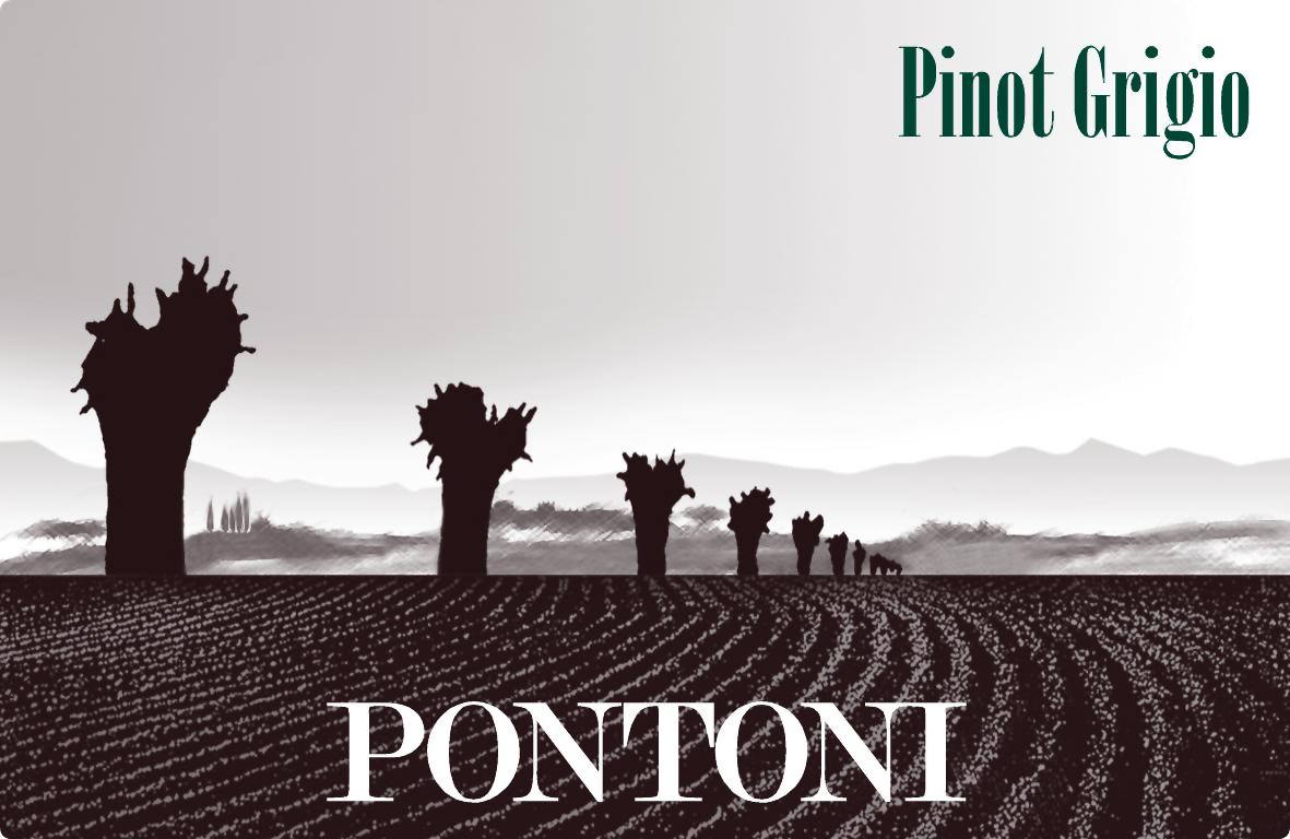 Pinot Grigio 2007