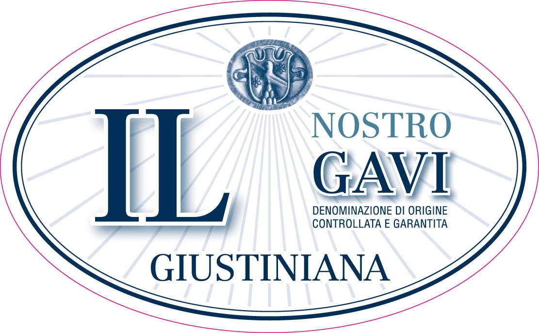 Il Nostro Gavi 2010