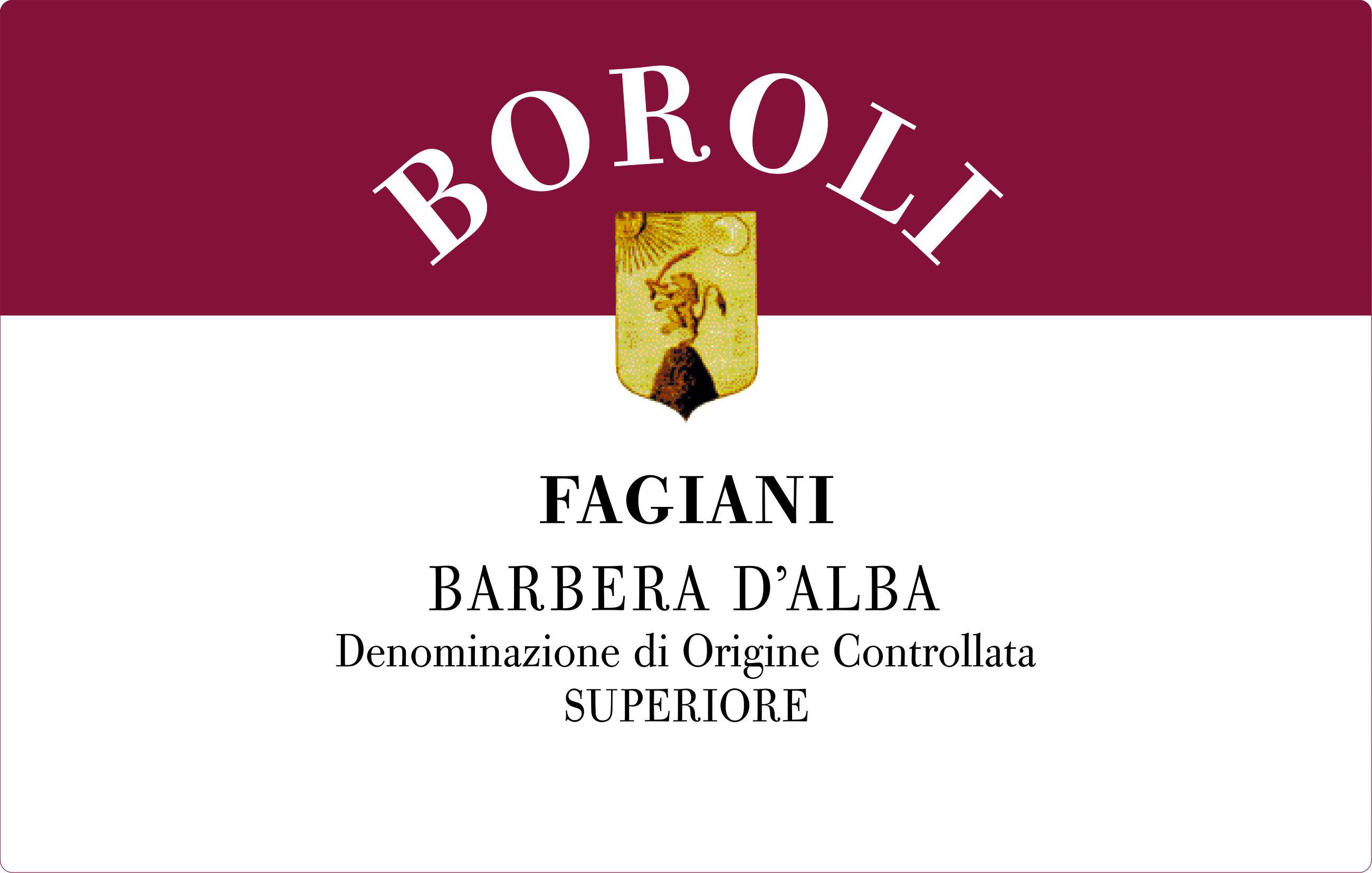 Barbera d'Alba Bricco dei Fagiani 2005