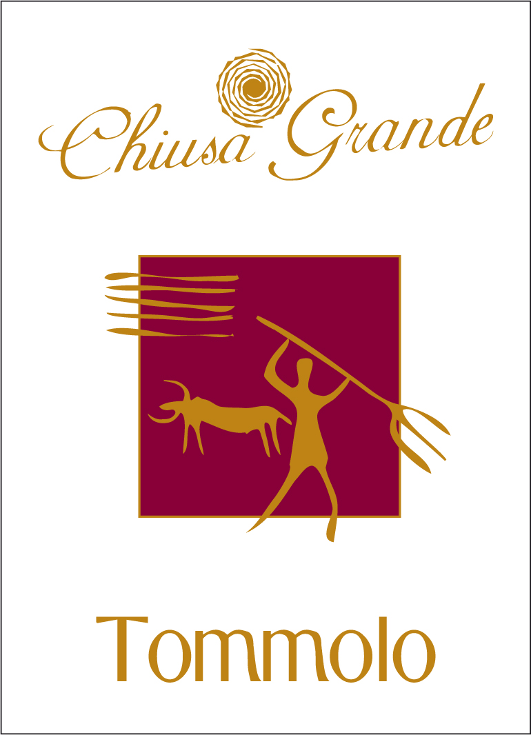 Tommolo 2007