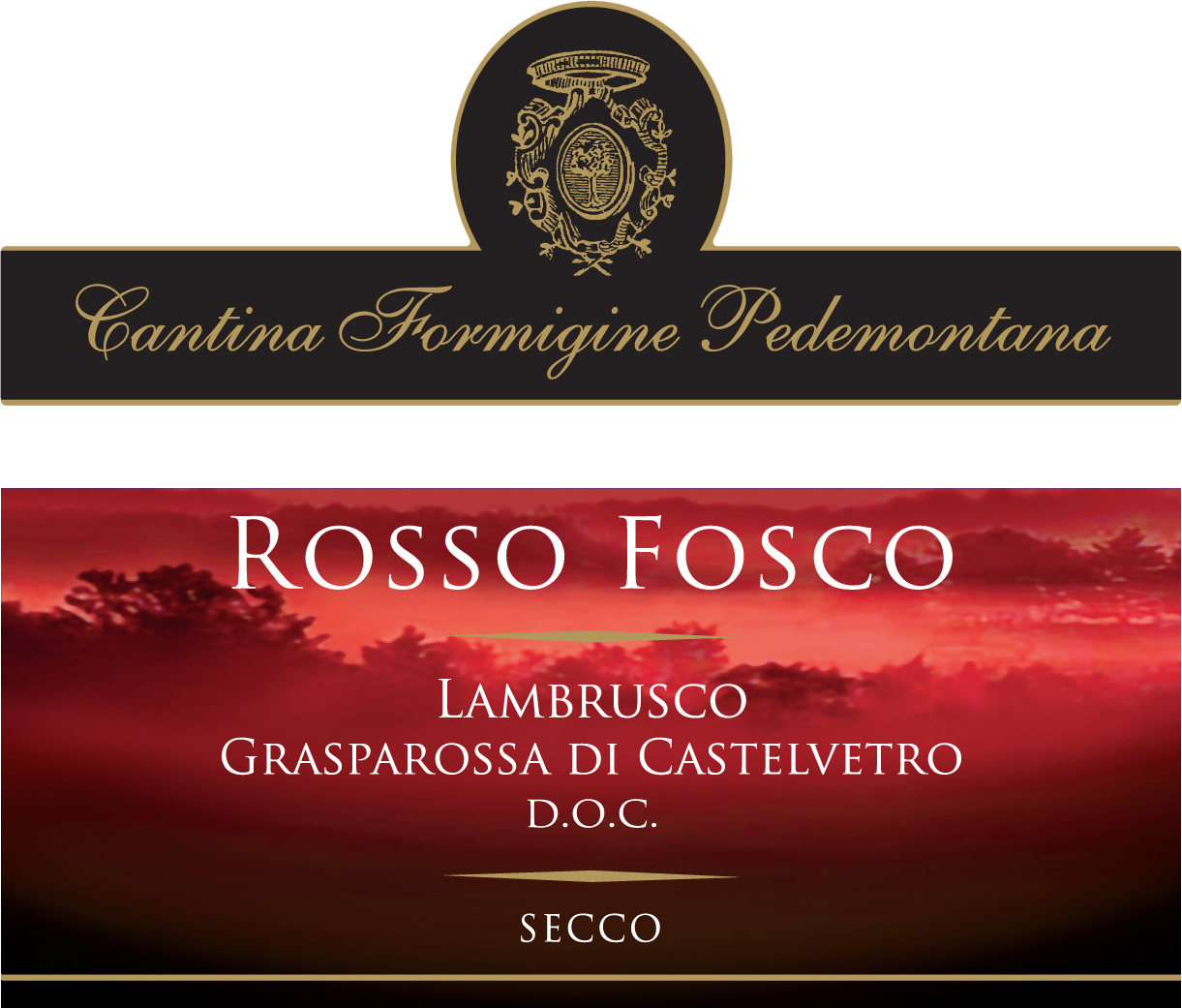 Lambrusco Grasparossa di Castelvetro Doc Rosso Fosco sa