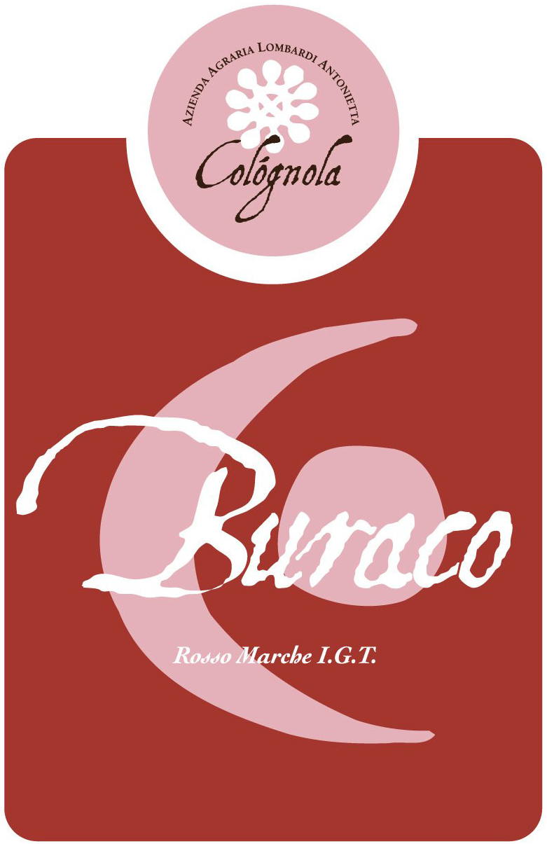 Buraco 2007