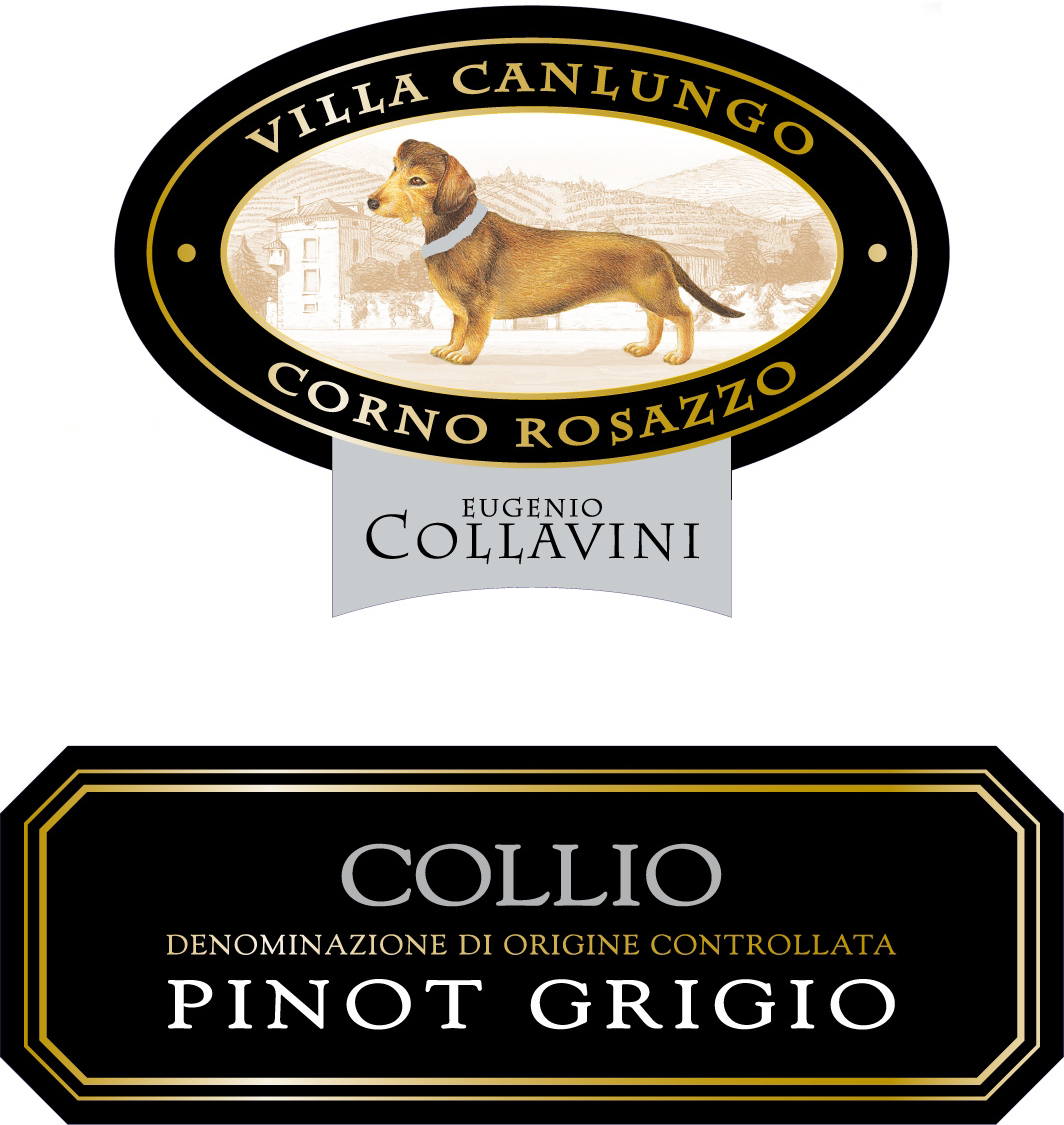 Pinot Grigio Collio Villa Can Lungo 2008