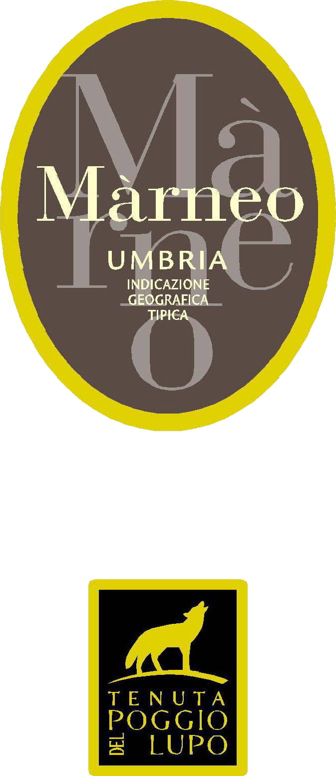Màrneo 2007