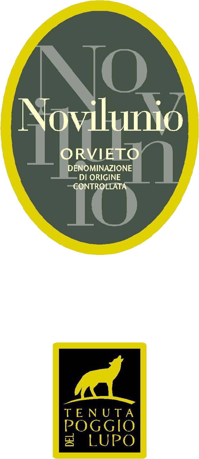 Novilunio 2009