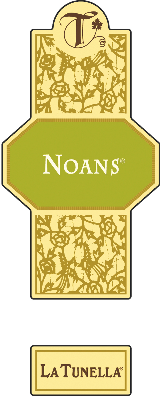 Noans 2008