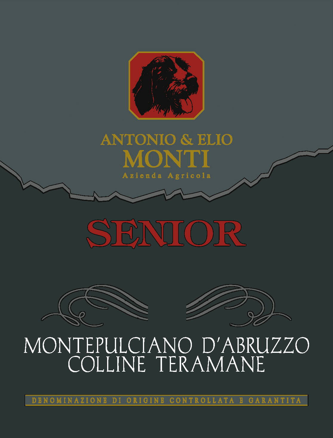 Montepulciano d'Abruzzo Senior 2008
