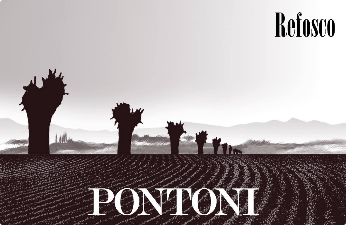 Refosco dal Peduncolo Rosso 2006