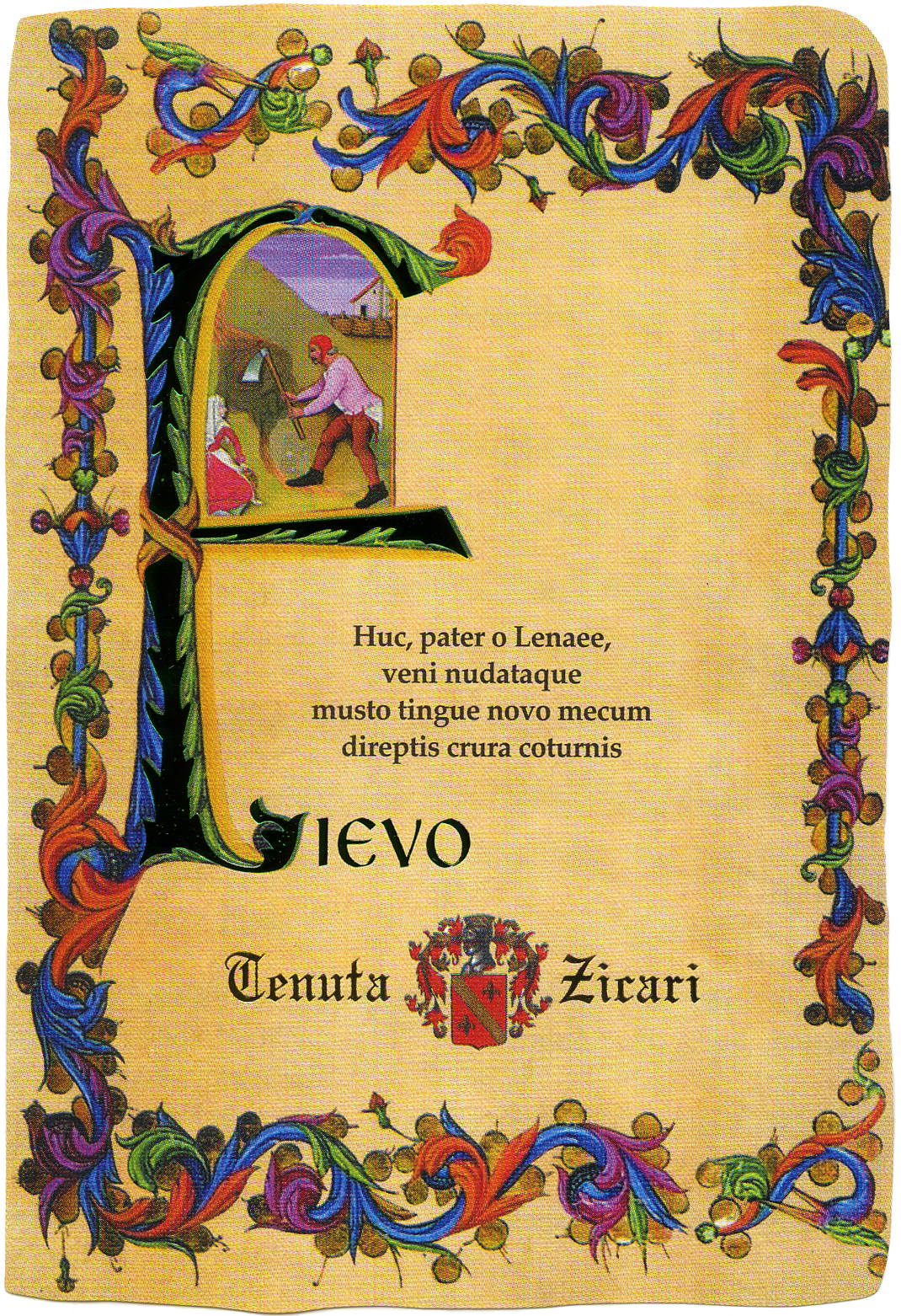 Fievo 2008