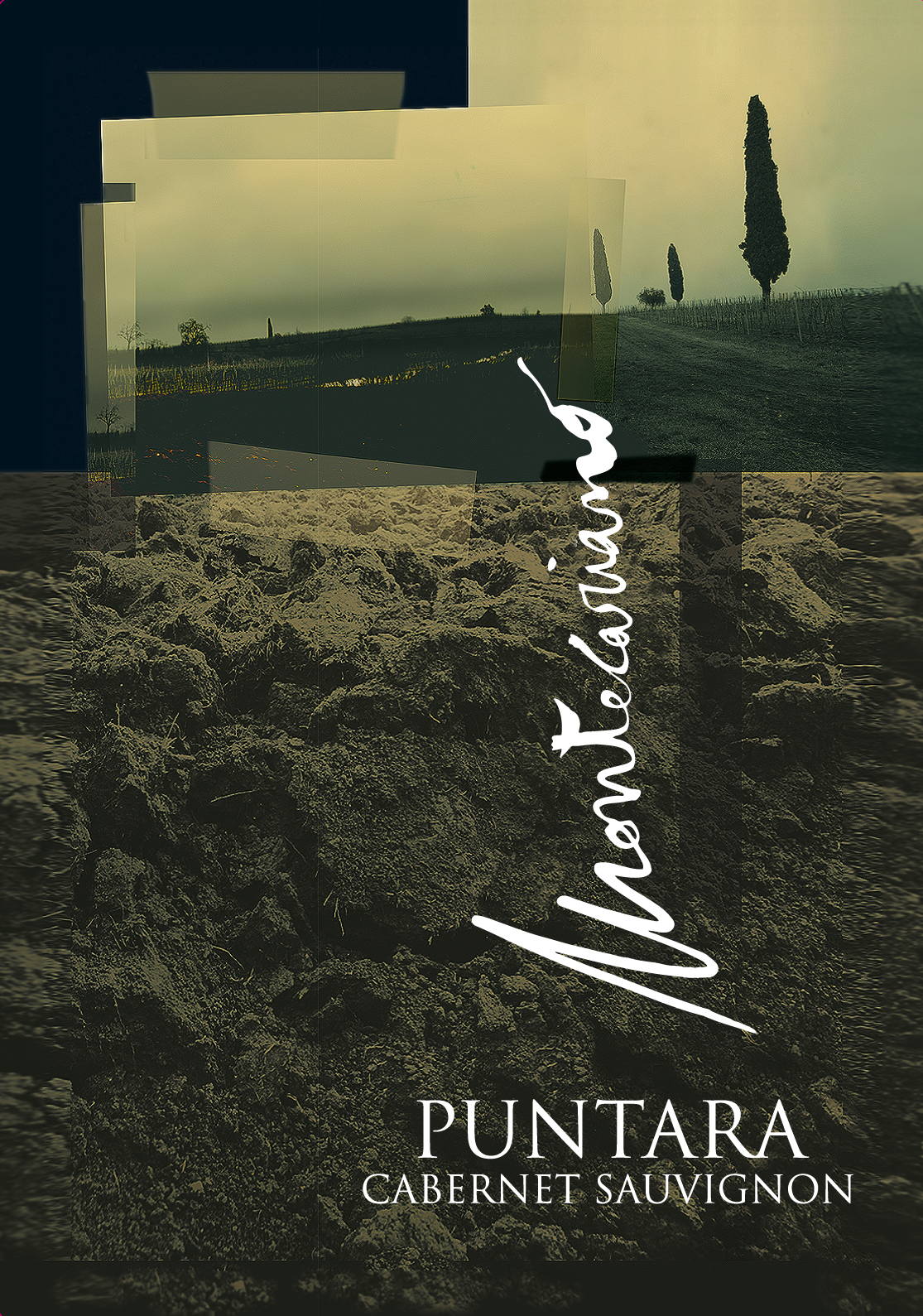 Puntara Cabernet Sauvignon Igt 2008