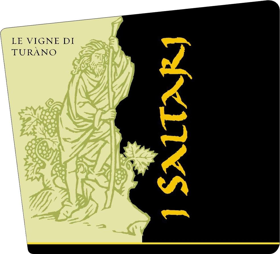 Amarone Le Vigne di Turano 2003