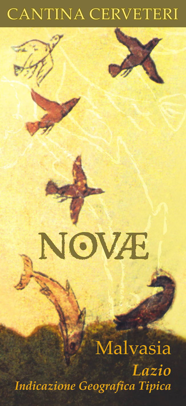 Malvasia Novae 2008