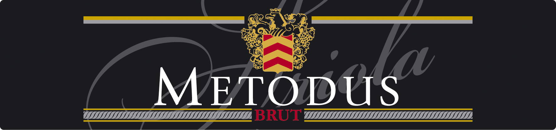 Metodus sa