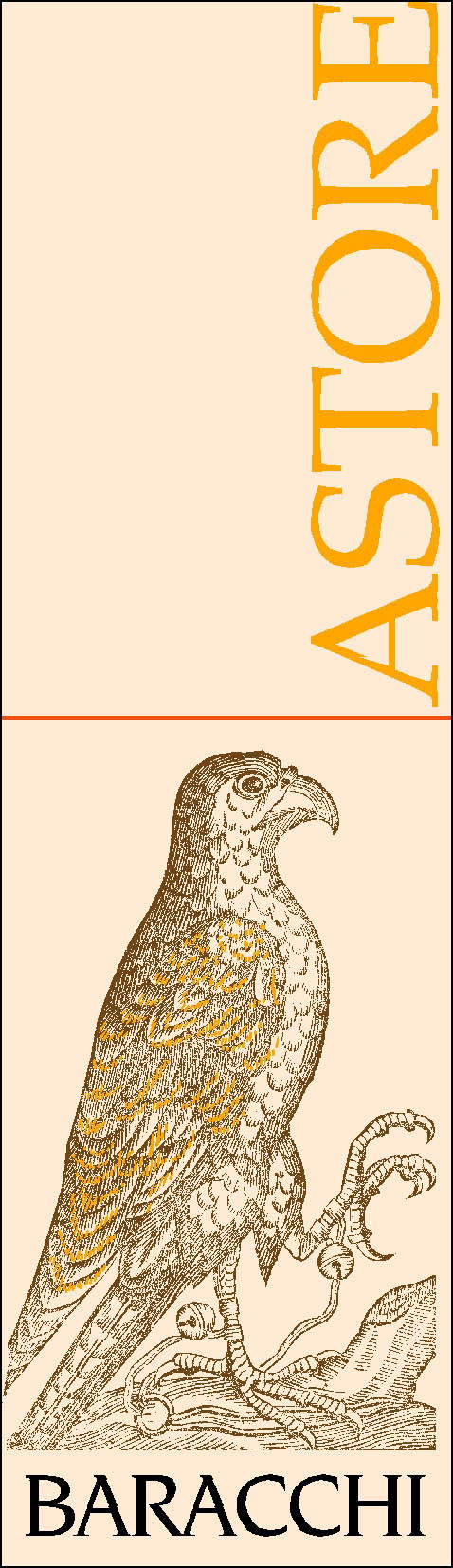 Astore 2008