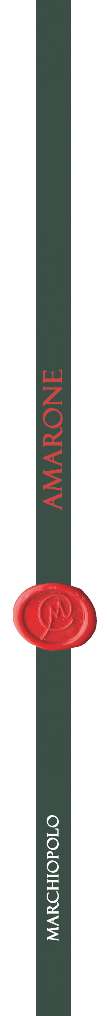 Amarone Classico della Valpolicella 2008