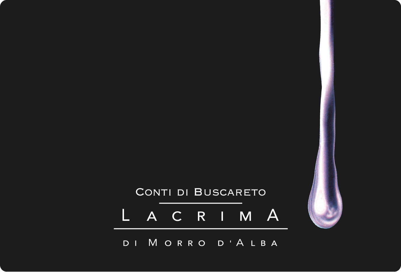 Lacrima di Morro d'Alba 2013