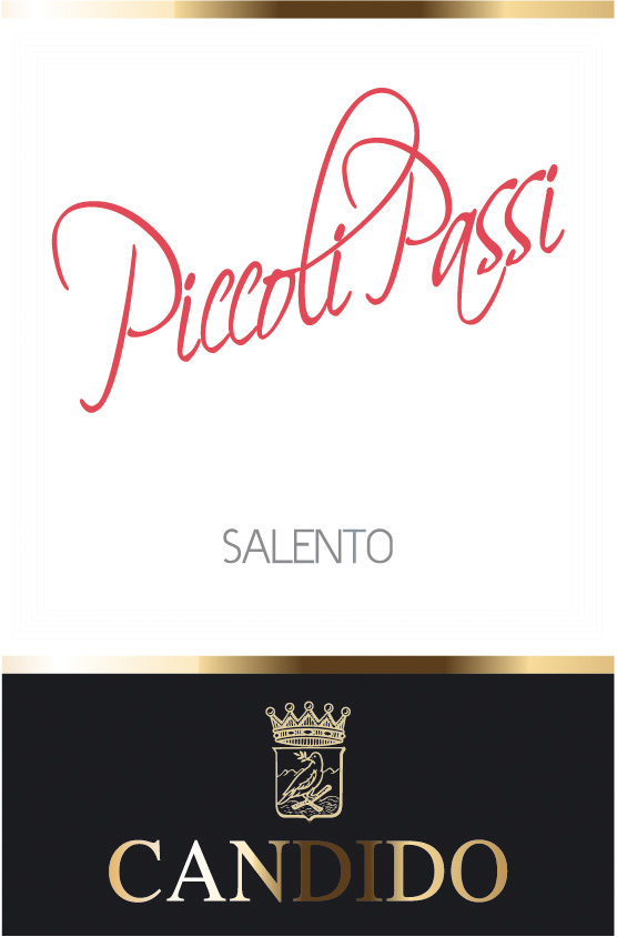 Piccoli Passi 2013