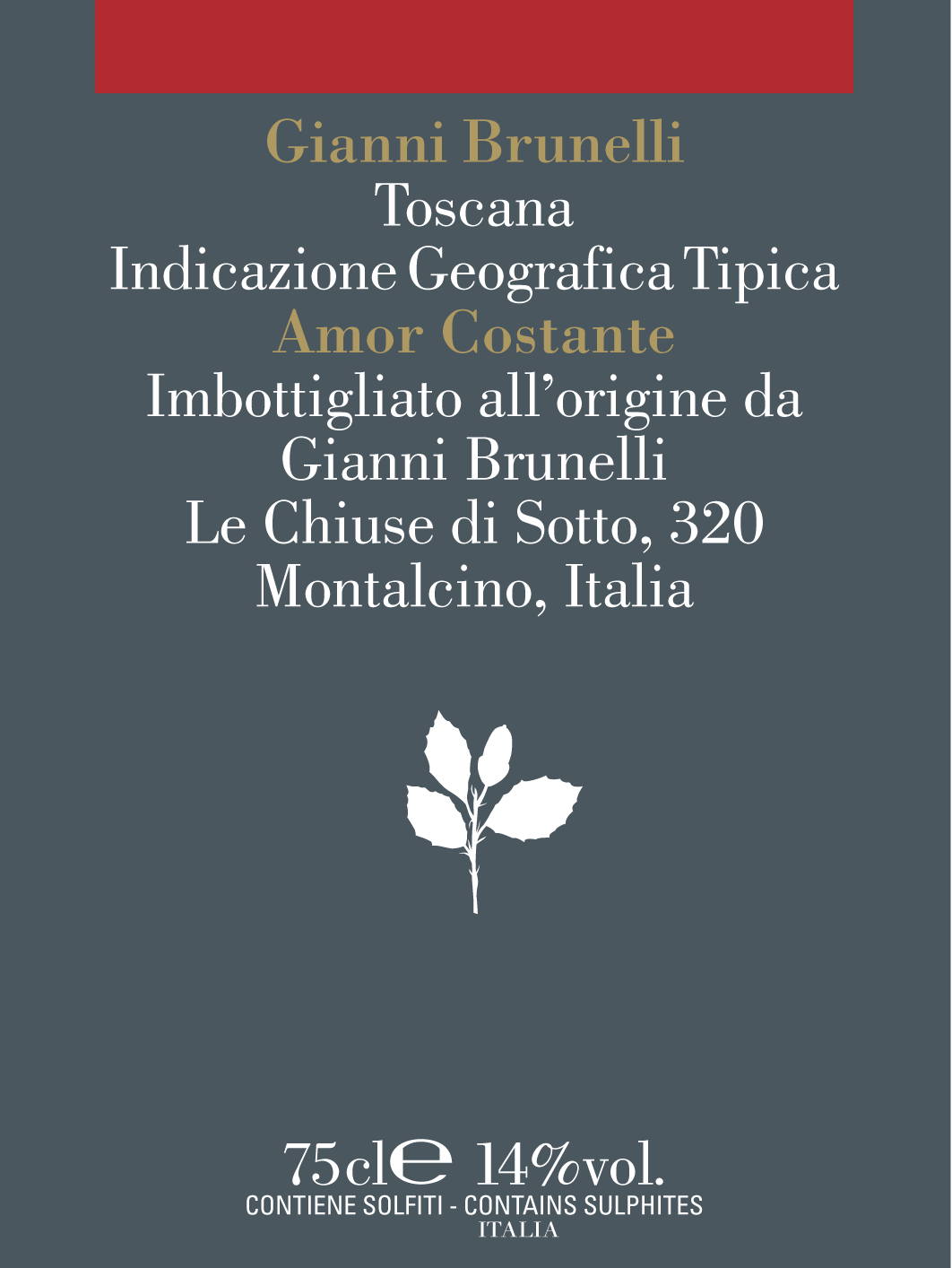 Gianni Brunelli Amor Costante 2009