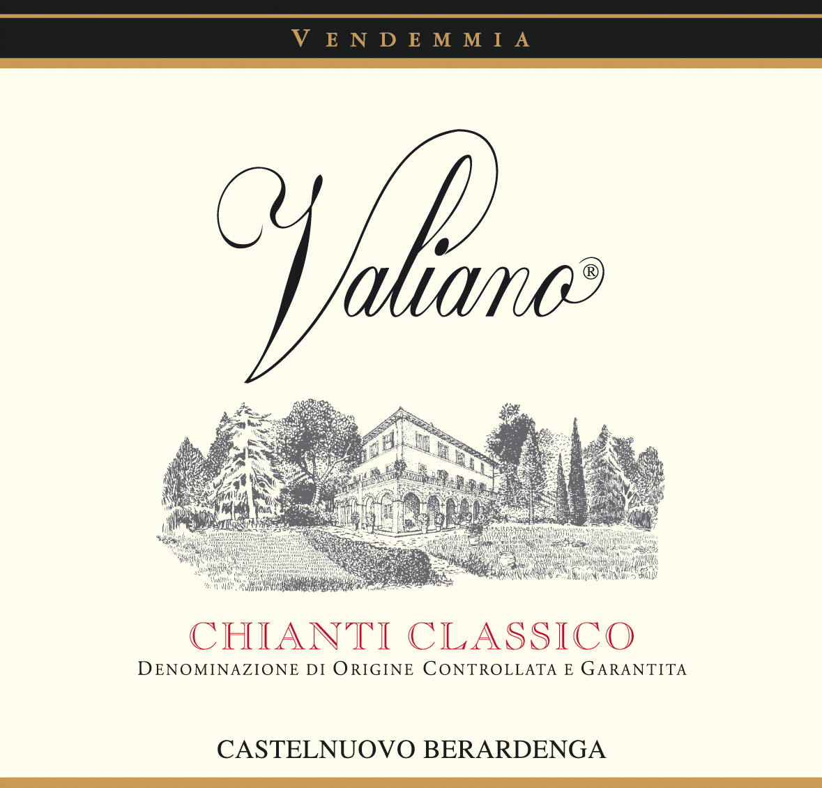 Chianti Classico Docg Valiano 2010