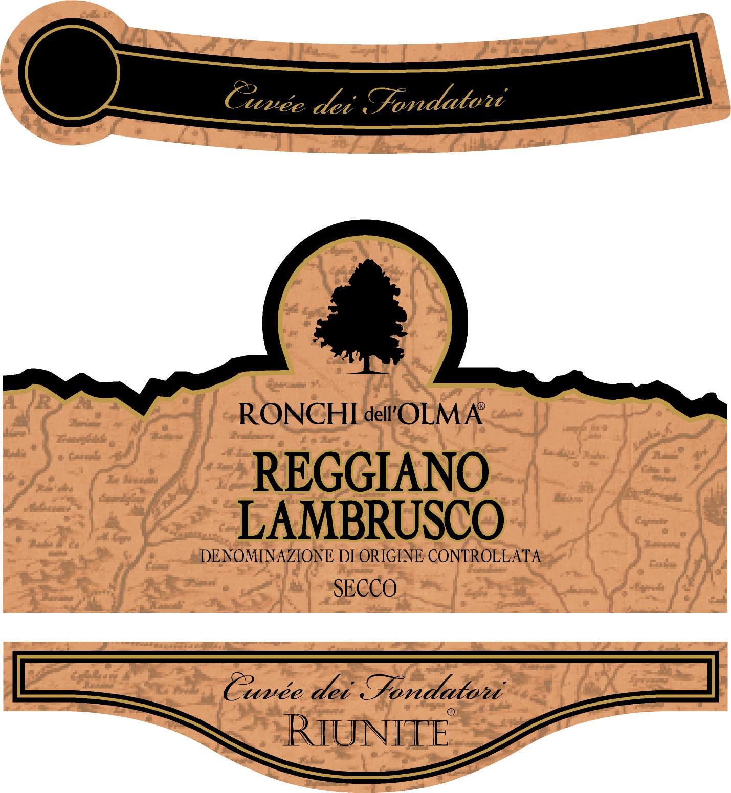 Lambrusco Reggiano l'Olma sa