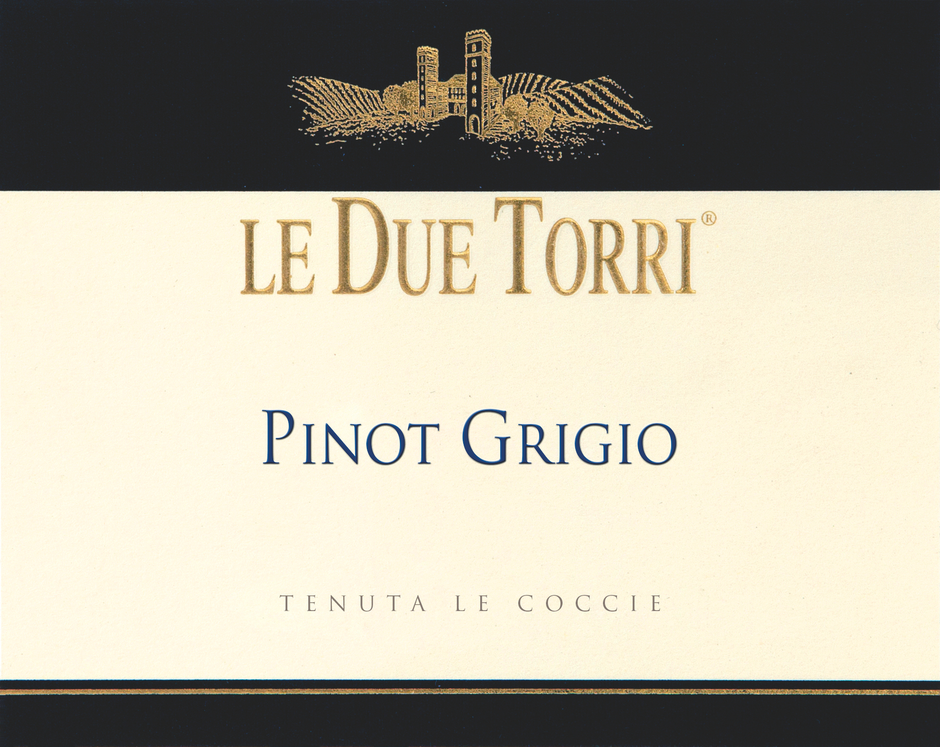 Pinot Grigio Vigneto Le Coccie 2016