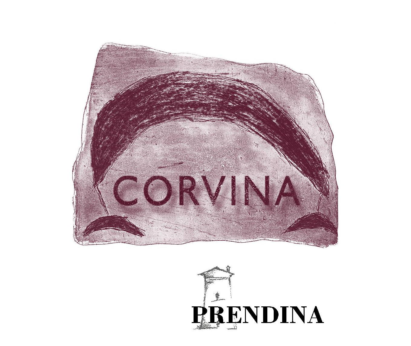 Corvina 2006