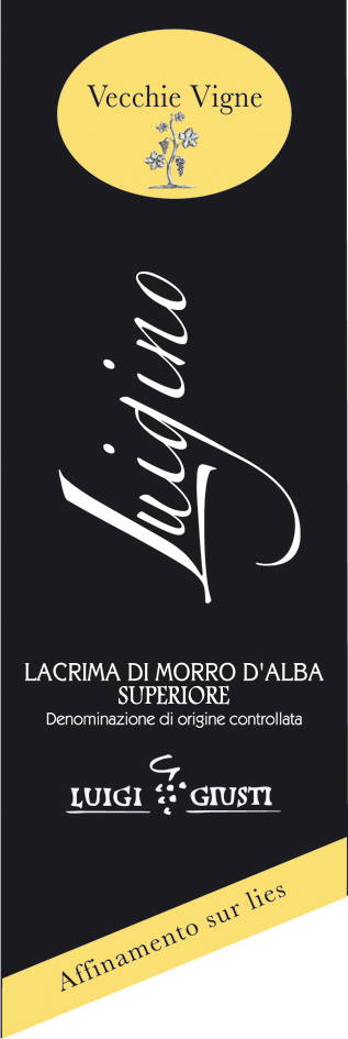 Lacrima di Morro d'Alba Luigino 2008