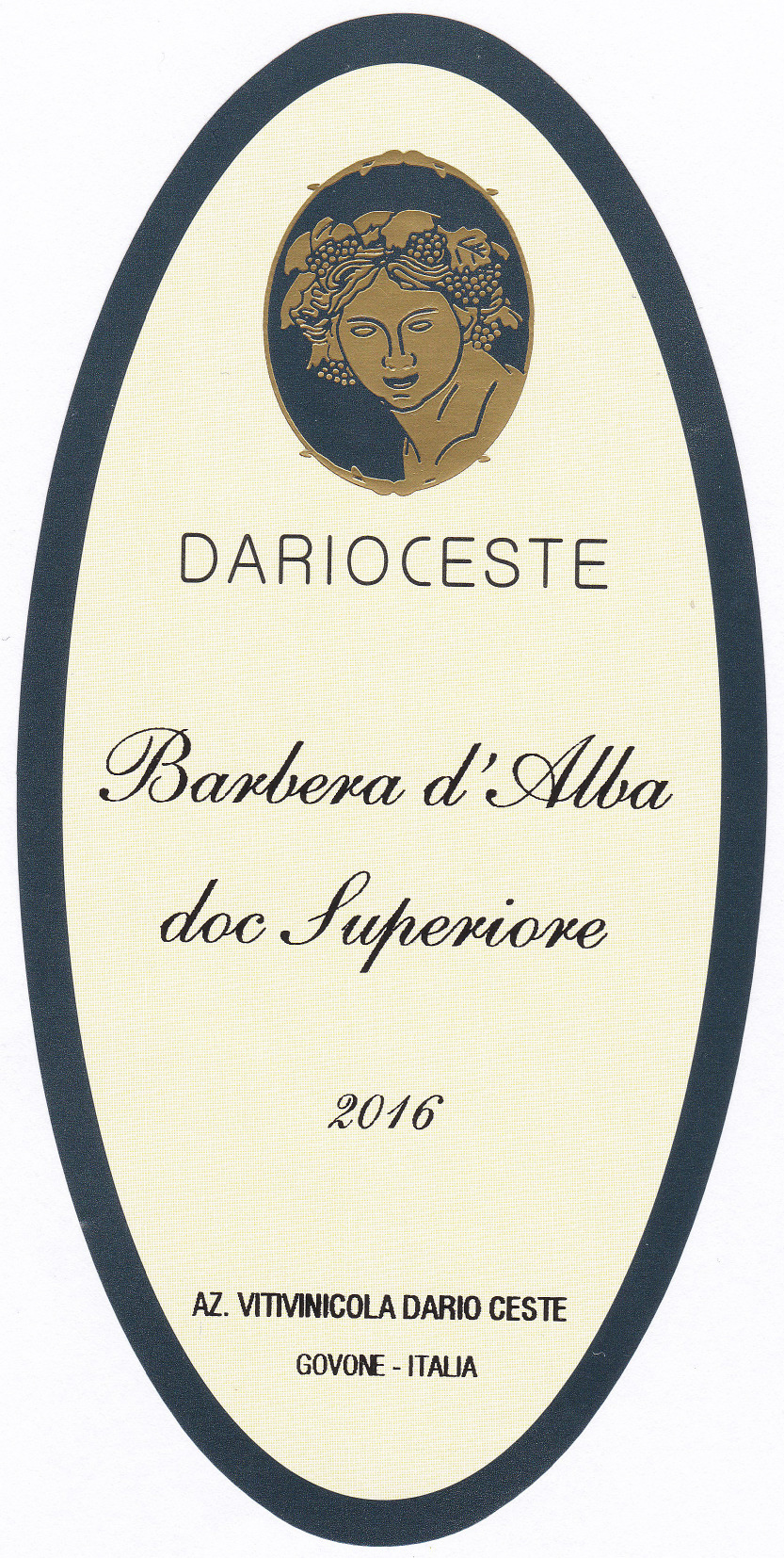 Barbera d'Alba Superiore 2016