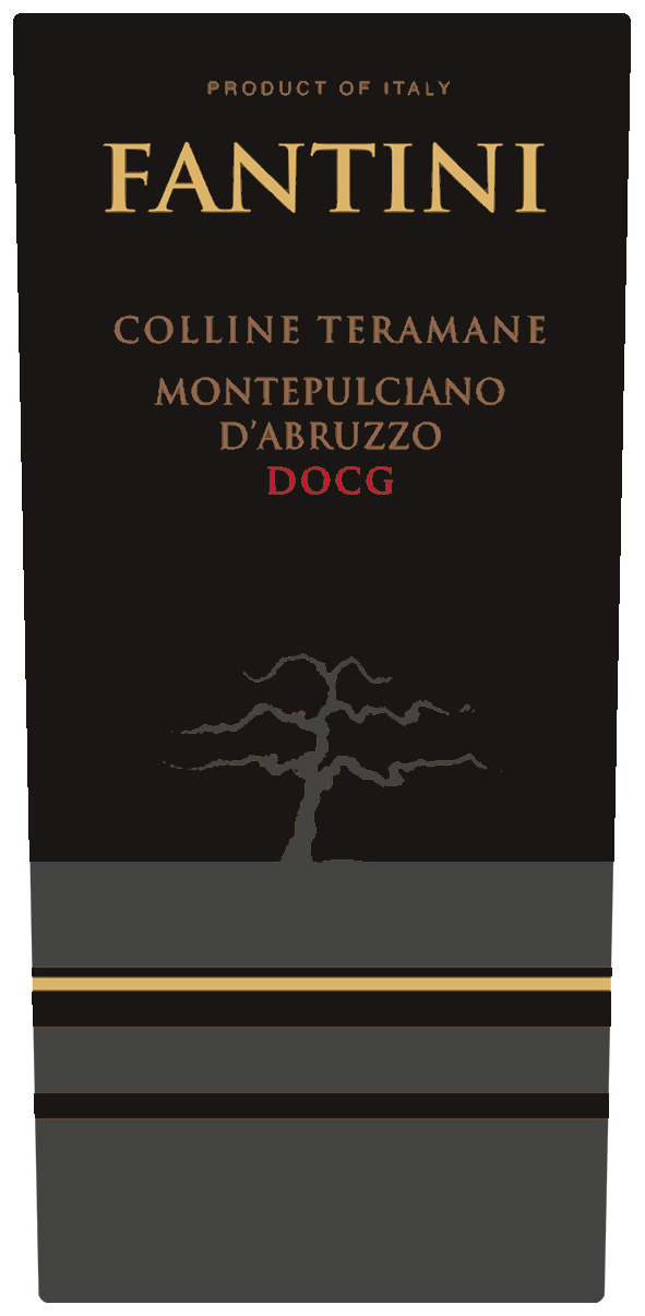 Montepulciano d'Abruzzo Colline Teramane Docg 2011
