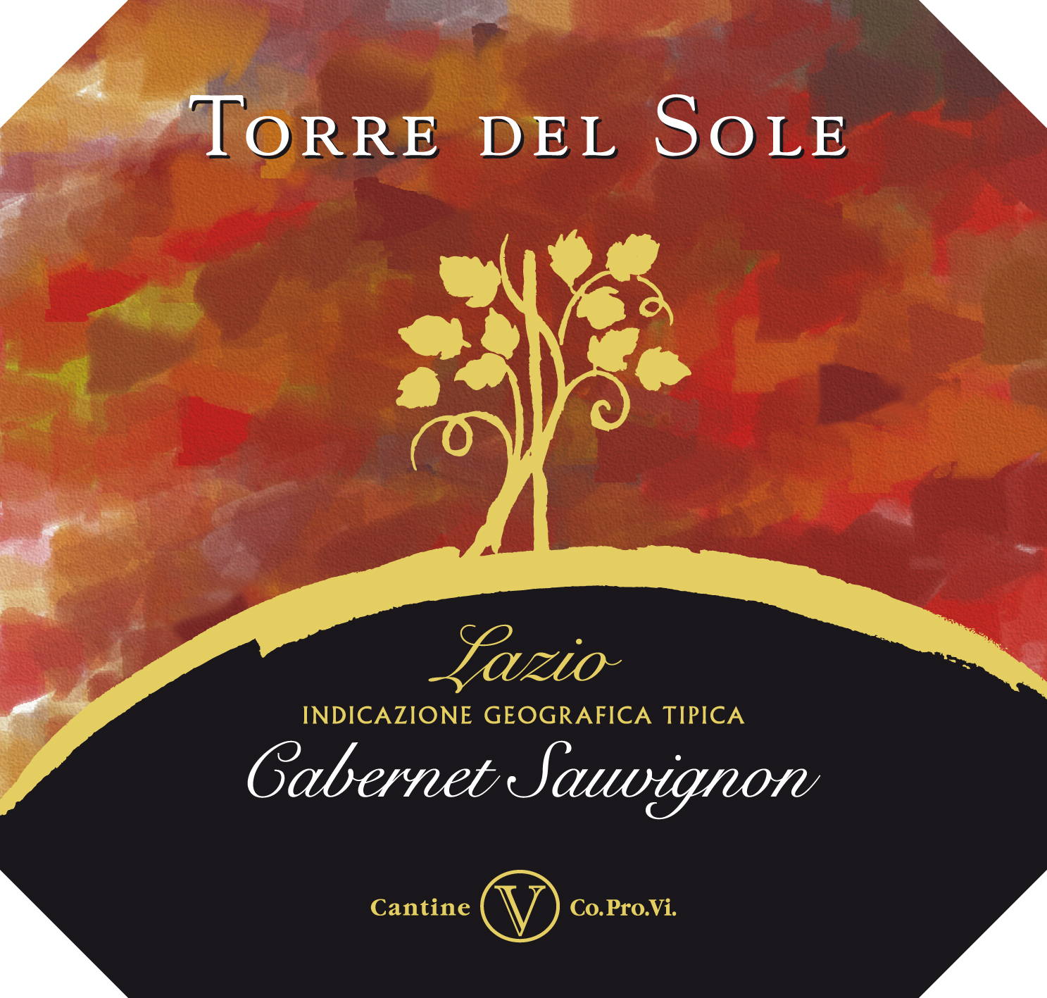 Cabernet Sauvignon Torre del Sole 2008