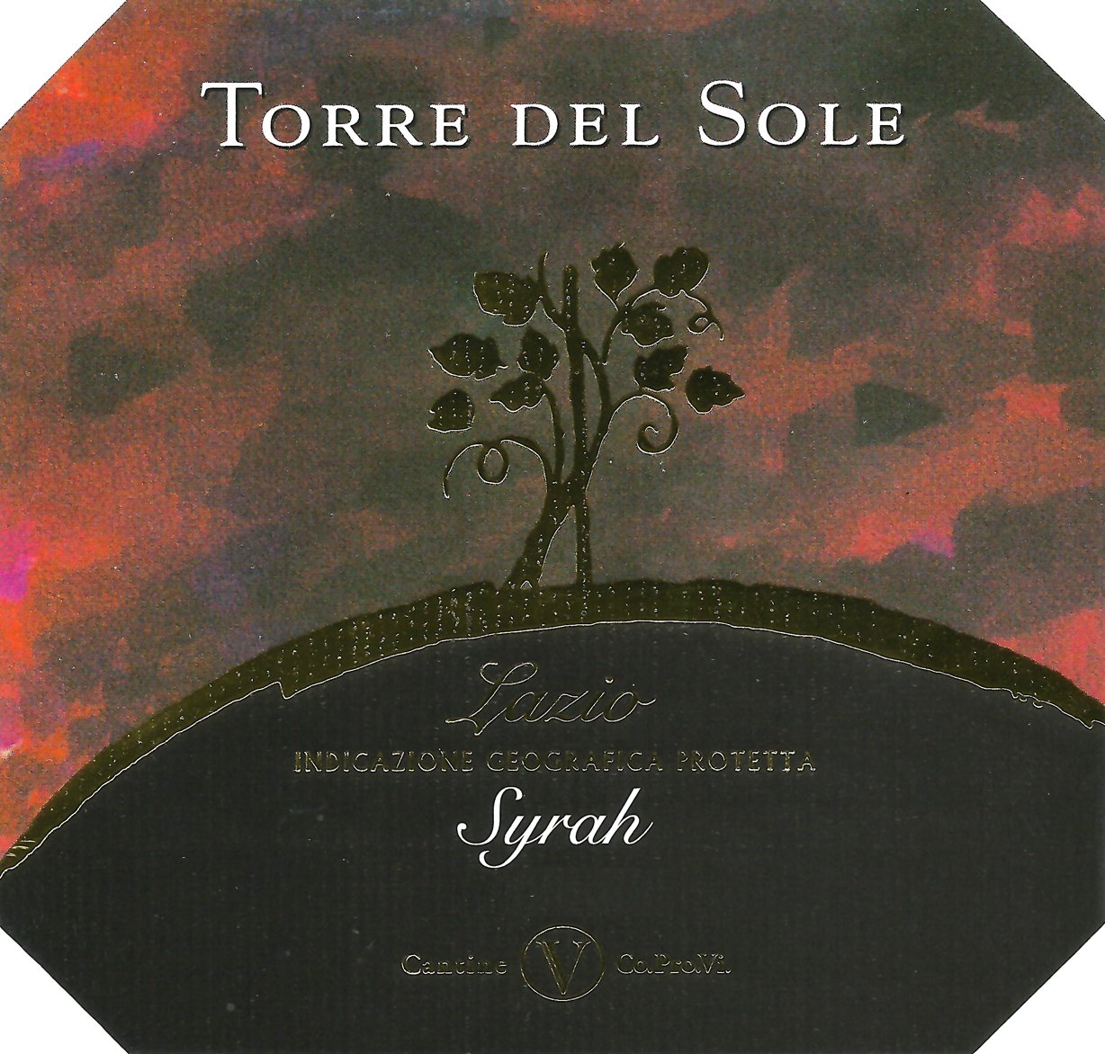 Syrah Torre del Sole 2007